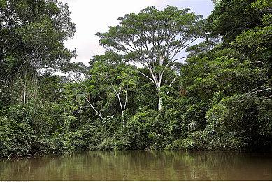 2022暑期高能电玩节：《我的幻想乡》12月登陆Steam